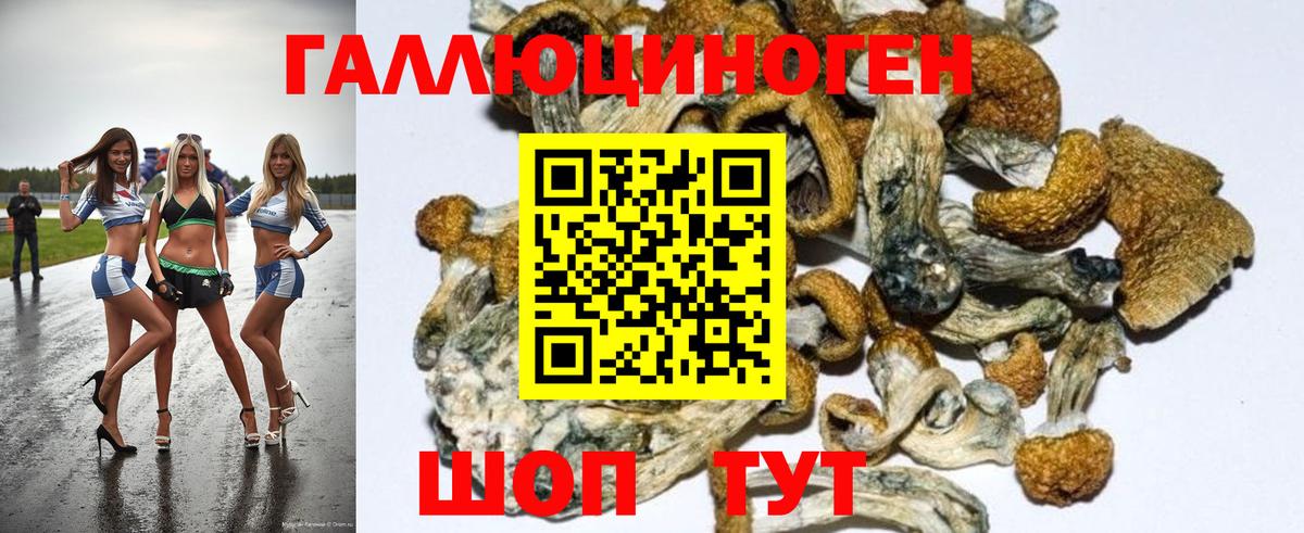 Галлюциногенные грибы MAGIC MUSHROOMS  Псилоцибиновые грибы MAGIC MUSHROOMS  Вход с VPN  Еманжелинск 