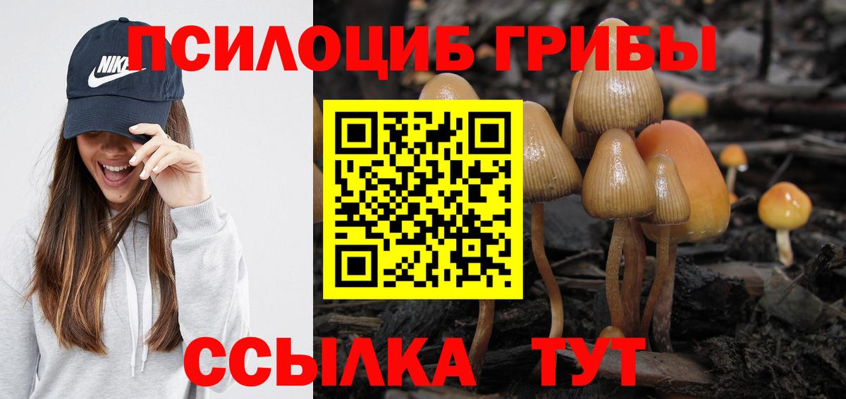 Псилоцибиновые грибы ЛСД Еманжелинск